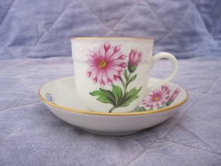 Herend Porcelain Cup And Saucer Floral Old Herend 1709 / 6v Pottery Dinnerware photo