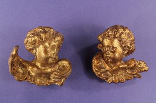 Vintage Pair Of Gold Gilded Cherub,  Puttie,  Angel Heads Made In Italy photo