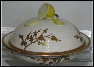 Antique Adderley English Porcelain Casserole Dish W Lemon Rowena Willis Estate photo