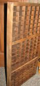 Large Vintage Printers Drawer / Shadow Box 32 1/4 X 16 3/4 With 147 Compartments Trays photo 2