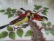 Meissen Autenticity Guarante Charger 1860 Birds Insects Rare No 2 Plates & Chargers photo 5