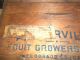 Antique 1910 Placerville Ca Fruit Growers Wood Crate & Railway Express Agency Boxes photo 10