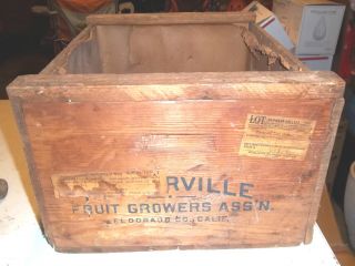 Antique 1910 Placerville Ca Fruit Growers Wood Crate & Railway Express Agency photo