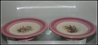 Unusual Pair Early Antique Worcester Porcelain Hand Painted Tazza W Flowers photo