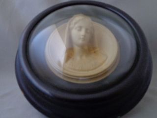 Gutta Percha Bust Of The Madonna Framed Under Convex Glass 19thc.  European photo
