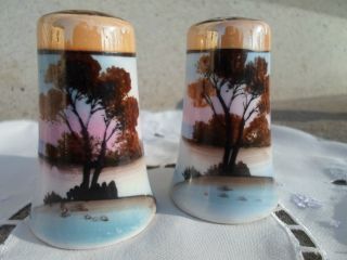 Vintage Japan Hand Painted,  Salt & Pepper Shakers.  Condition. photo