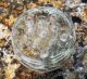 Antique Glass Flower Frog Dome Footed Clear 11 Holes Vases photo 2