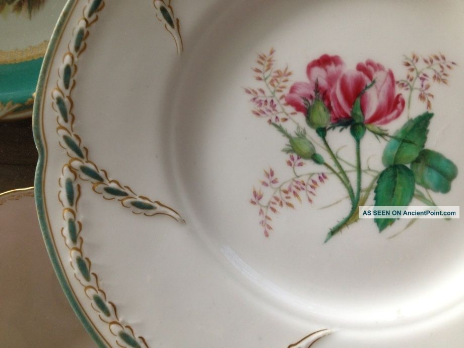 Kerr & Binns Worcester (1842 - 1862) Botanical Study Cabinet Plate Nr Plates & Chargers photo