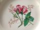 Kerr & Binns Worcester (1842 - 1862) Botanical Study Cabinet Plate Nr Plates & Chargers photo 2