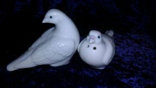 Vintage Pair Of Dove Salt & Pepper Shakers Porcelain photo
