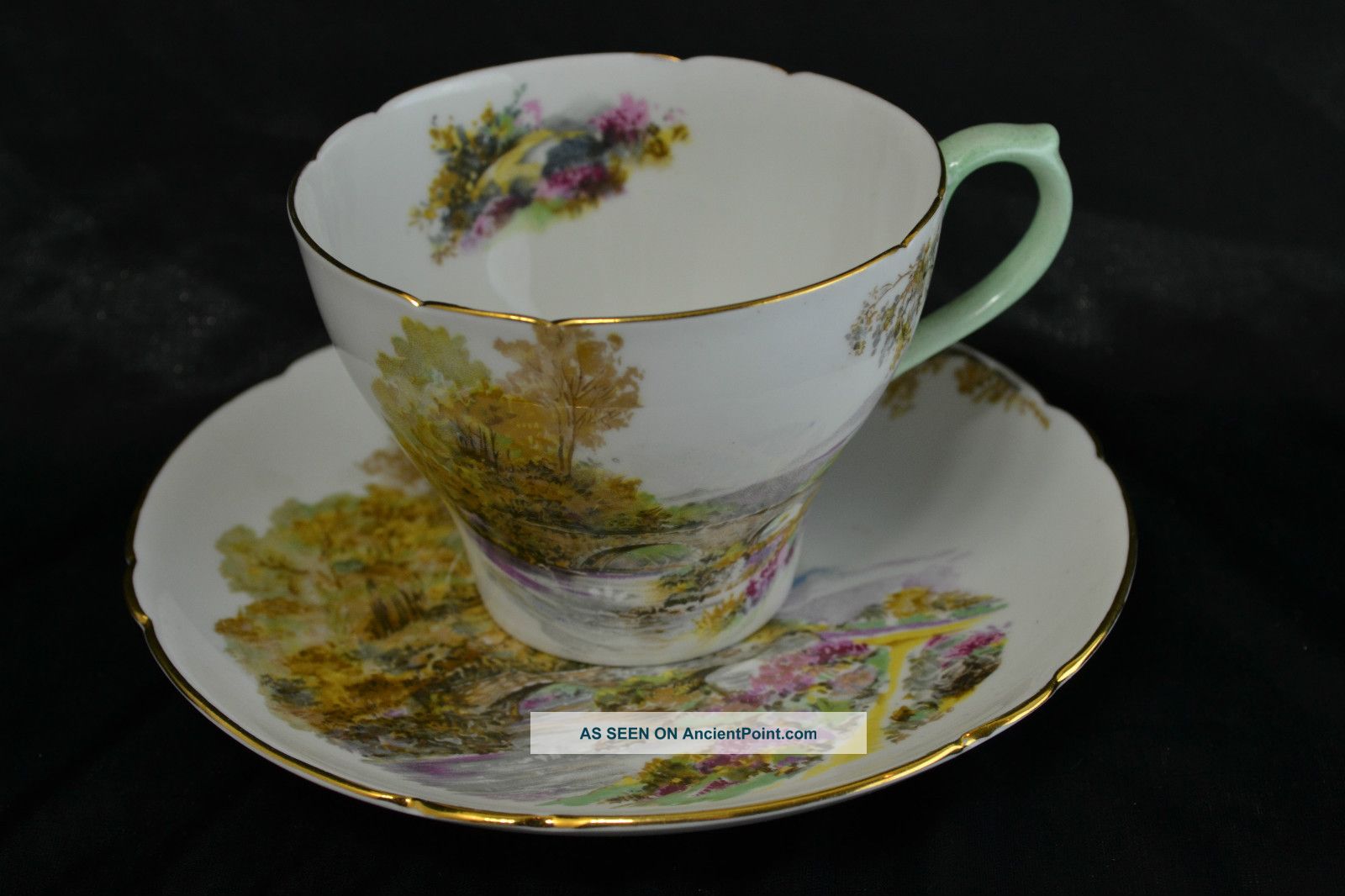 Shelley Teacup And Saucer 