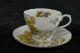 Shelley Teacup And Saucer 
