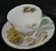 Shelley Teacup And Saucer 