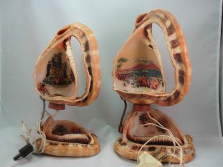 Vintage Pair Cameo Shell Lamps Italy Pompeii Italy Religious Repair Reuse photo