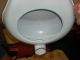 Antique Porcelain Enameled Metal Bed Pan Chamber Pots photo 2