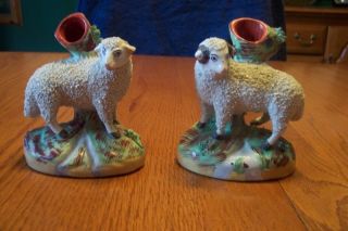 Staffordshire Sheep, ,  Ram And Ewe photo