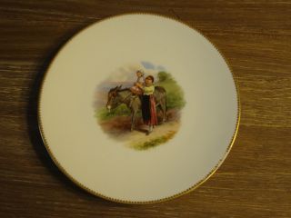 19th Century Minton ' S Or Brownfield ' S Hand Painted Cabinet Plate Nr photo