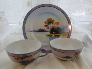 Antique Hand Painted Noritake Tea Cups And Plate/ Trees,  House,  Swan Design photo