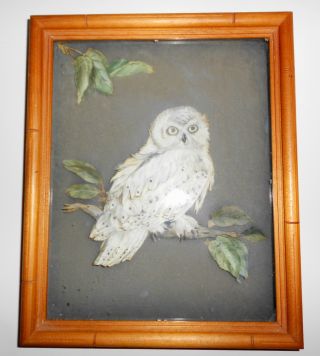 Rare Vintage Carved Paper And Real Feathers White Owl Shadow Box Picture Nr photo