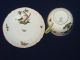 Herend Hungary Tea Cup And Saucer.  Rothschild Bird Pattern. Cups & Saucers photo 9