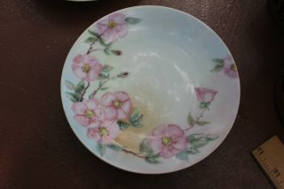 Antique Collectible Bavarian Porcelain Plates Handpainted 1918 Dated Pink Roses photo