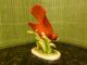 G.  Z.  Lefton Cardinal Bird Figurine - Hand Painted China - Collectors Kw 464 Figurines photo 3