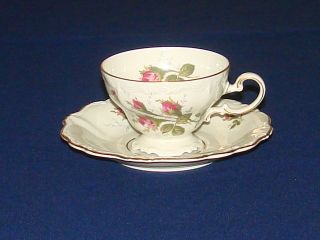 Rosenthal Selb - Germany Tea Cup And Saucer photo