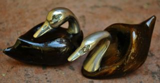 Lovely Pair Of Carved Wood 7 Silver Swan Couple Florence Italy photo