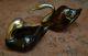 Lovely Pair Of Carved Wood 7 Silver Swan Couple Florence Italy Carved Figures photo 1