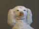 Antique 1860s Staffordshire 8 