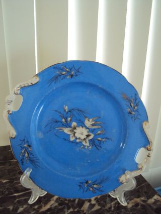 Antique Dallwitz Porcelain Plate C1920 ' S Or Late1880 Sparrow & Flowers Germany photo