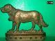 Antique 1880 ' S Solid Brass Saint Bernard Dog Doorstop - Registered No.  50426 Metalware photo 2
