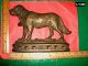Antique 1880 ' S Solid Brass Saint Bernard Dog Doorstop - Registered No.  50426 Metalware photo 5