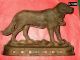 Antique 1880 ' S Solid Brass Saint Bernard Dog Doorstop - Registered No.  50426 Metalware photo 6