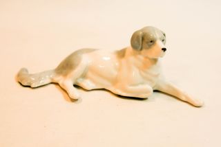 1900 German Porcelain Bernese Mountain Dog Figure photo