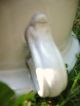Chamber Pot Large White Ceramic Planter Cup Other photo 3