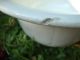 Chamber Pot Large White Ceramic Planter Cup Other photo 7