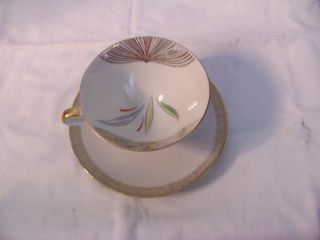 Winterling Tea Cup And Saucer photo