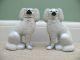 Pr 19thc Staffordshire Poodles With Open Legs Figurines photo 1