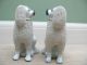 Pr 19thc Staffordshire Poodles With Open Legs Figurines photo 4