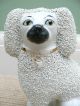 Pr 19thc Staffordshire Poodles With Open Legs Figurines photo 5