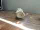 Vintage Porcelain Angel Crown Mark Figurines photo 6