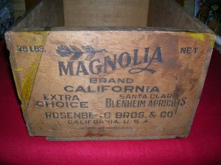 Antique Wood 15x10x7,  Magnolia Apricot Advertising Fruit Crate California Box photo