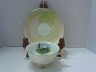 Bayreuth Bavaria Wagner Demi Cup/saucer Near Mint Color And Pattern Nr photo