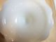Cleveland Ohio White Glass From The 60 ' S Vases photo 6