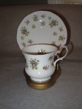 Gorgeous Queen ' S Violet Countryside Series Tea Cup & Saucer Fine Bone China Nr photo