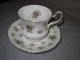 Gorgeous Queen ' S Violet Countryside Series Tea Cup & Saucer Fine Bone China Nr Cups & Saucers photo 1