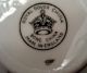 Royal Dover China Fine Bone China England Tea Cup & Saucer Cups & Saucers photo 3
