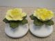 Capodimonte Yellow Flowers Salt And Pepper Shakers 439062 Made In England Salt & Pepper Shakers photo 1