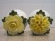 Capodimonte Yellow Flowers Salt And Pepper Shakers 439062 Made In England Salt & Pepper Shakers photo 2